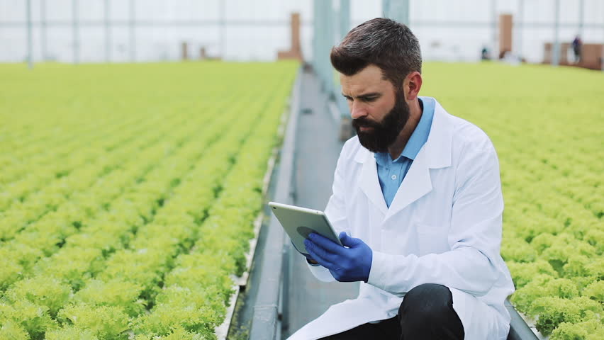Agricultural Engineer Analysing Plants in 库存影片视频（100% 免版税）1015708483 | Shutterstock
